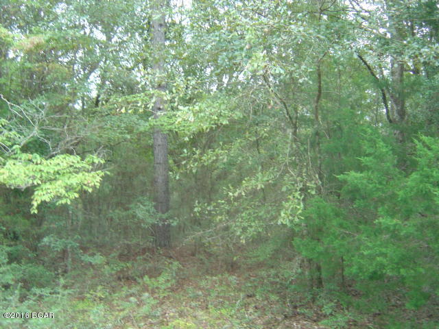 Compass Lake Hills Unit 6 - Land