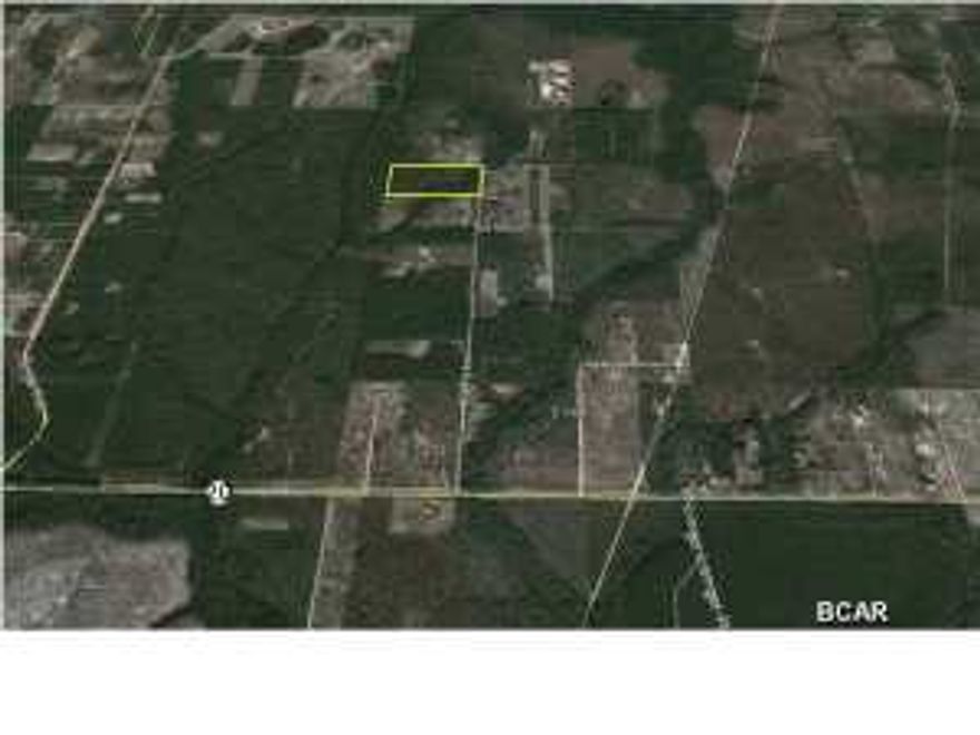 This 20-acre wooded lot is located down a dirt road just off of Highway 20 in the Youngstown area of Bay County. Kathy lane is just 2 1/2 miles west of Highway 231 making it easily accessible. This is a great opportunity to build a quiet country home not too far from the city. Enjoy the peaceful surroundings of nature and the convenience of being close to town.