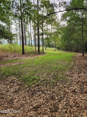1750 TURKEY OAK TRL, BONIFAY, FL 32425 - Image bdda5ca57a75eb747ebbf26a9b8dca45/622102376