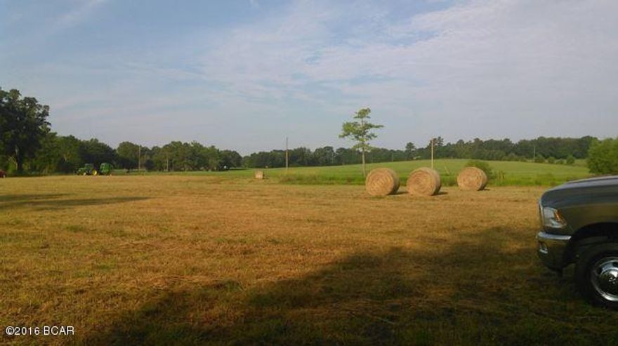 13 Acre Hay Farm with 2 Acre Stocked Pond.  Agricultural / Residential use.  400' on Will Lee Rd.  Entire parcel sprigged with Russel Bermuda Grass, in production for 3 years. Real Estate taxes are approximately $49 per year.  Hay income is $1,000 per year.