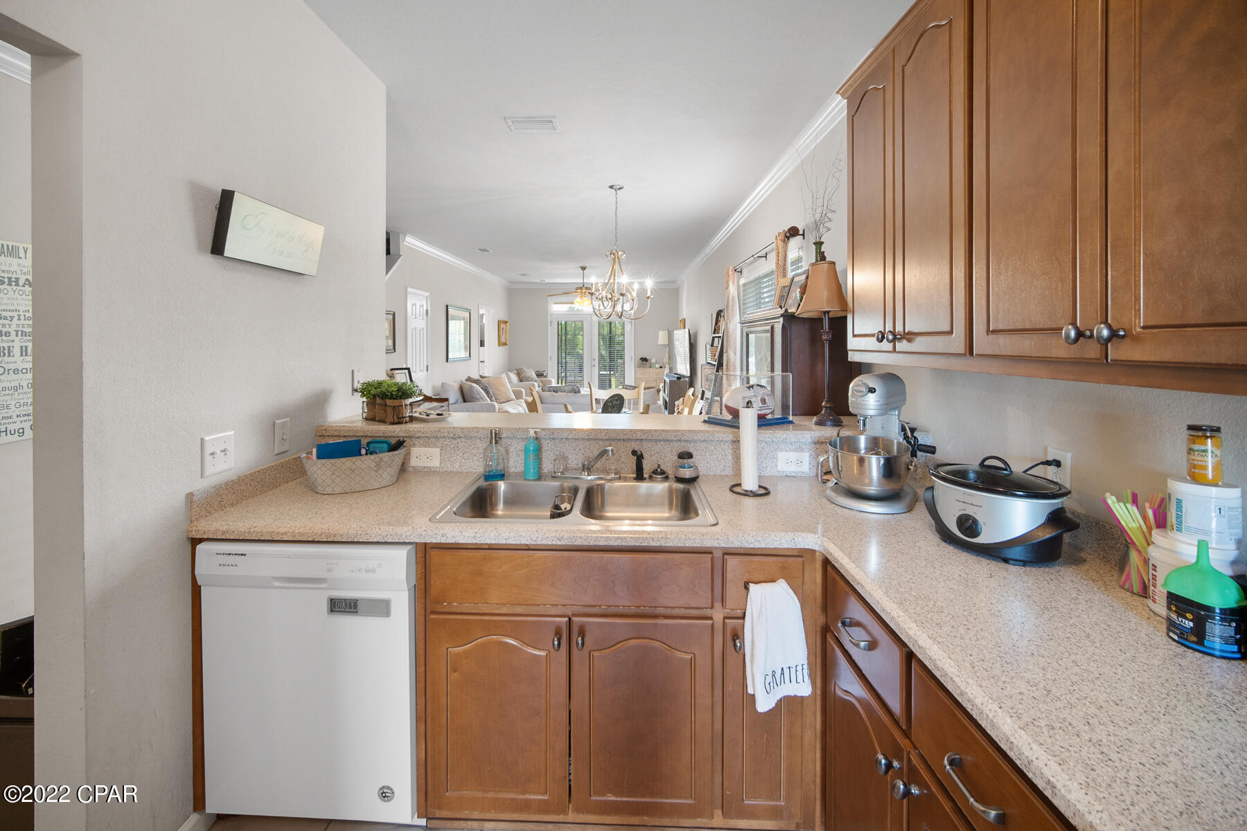 Palmetto Ridge - Residential