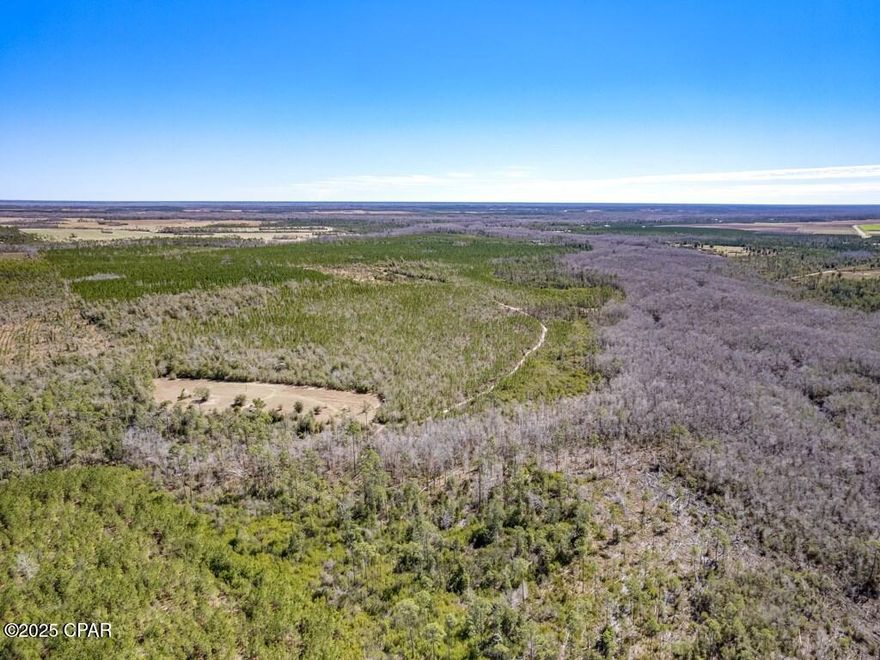 360 Acres of Prime Timberland For Sale in Kinard, FL with SR-71 Road Frontage! 

Looking for the ultimate hunting retreat, timber investment, or private escape?  This rare 360-acre parcel in Kinard, Florida checks all the boxes — and it's less than an hour from the beautiful beaches of the Gulf Coast! 

10-Year-Old Slash Pine Timber - Healthy, thriving trees with first thinning potential in just 5 years = $$$
2-4 Acres Cleared - Perfect for campsites, food plots, or your dream outdoor basecamp
Established Road System - Easy access throughout the property
Backs Up to Cypress Creek - Ideal habitat for deer, turkey, and other wildlife
 Unmatched Privacy + Seclusion - Your peaceful escape from the everyday grind

 Whether you're a hunter, investor, or just want a place to enjoy Florida's great outdoors, this is your chance to own a slice of paradise!

 Located in Calhoun County, surrounded by natural beauty and endless opportunity.

Sale includes Parcel ID's:
• 01-3S-10-0000-0004-0000
• 02-3S-10-0000-0014-0000