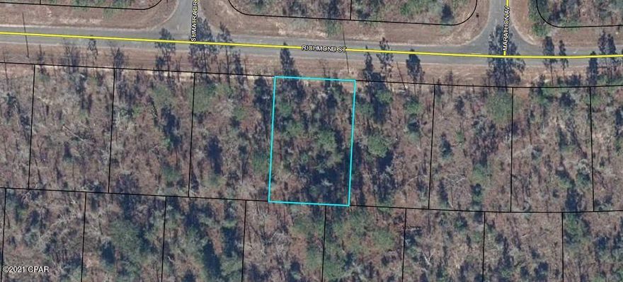 High and dry building lot right off Elkcam close to the golf course! Not too far off highway 77. Sunny Hills has 26 lakes/ponds, including crystal clear Gap Pond and the well-known Boat Lake. There are 5 boat landings in the community for the fishermen. Deed restricted, but there is no HOA fee that applies. No mobile homes. Enjoy the slower pace of life this area has to offer and significantly lower taxes! Washington County is among the top five counties in the state of Florida that have the lowest property taxes. This lot is only a 20 minute drive from Chipley or Bonifay and about 45 minutes from PCB. Buyer to pay owner's title policy + title fees.