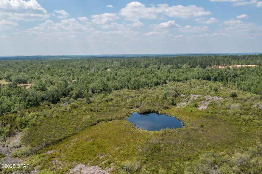 Let's Go to the Country!  Features of this vacant land parcel include one half of Boggy Pond, NO HOA, NO restrictions and of course, no build time.  Location is perfect for your private sanctuary away from the hustle and bustle of the city, but yet, within minutes to our beautiful Gulf and sugar white sandy beaches, hundreds of lakes, the infamous Holmes Creek and so much more.  Want to take a look, call listing broker first or your favorite Realtor.