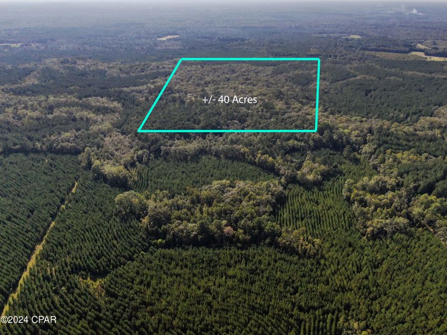 Looking for a place to truly unplug? This beautiful 40-acre tract in Northern Holmes County offers all the peace and privacy you've been searching for. Tucked away and surrounded by hundreds of acres of timberland, it's the perfect setup for a recreational retreat, hunting camp, or even just a quiet escape from the day-to-day grind. Out here, you can relax knowing you're in your own world, but still close enough to town when you need it.

The property is loaded with mature timber that's ready for harvest, with timber reports available upon request for those who want to see the numbers. Access is no problem either—there's a deeded easement in place, so you can come and go with ease. Between the natural seclusion, the harvest-ready timber, and the potential for your own getaway spot, this land really is a rare find.

If you've been waiting for a property where you can breathe deep, spread out, and enjoy nature, this is it. Don't miss the chance to check it out—schedule your showing today and see what makes this Holmes County retreat so special.