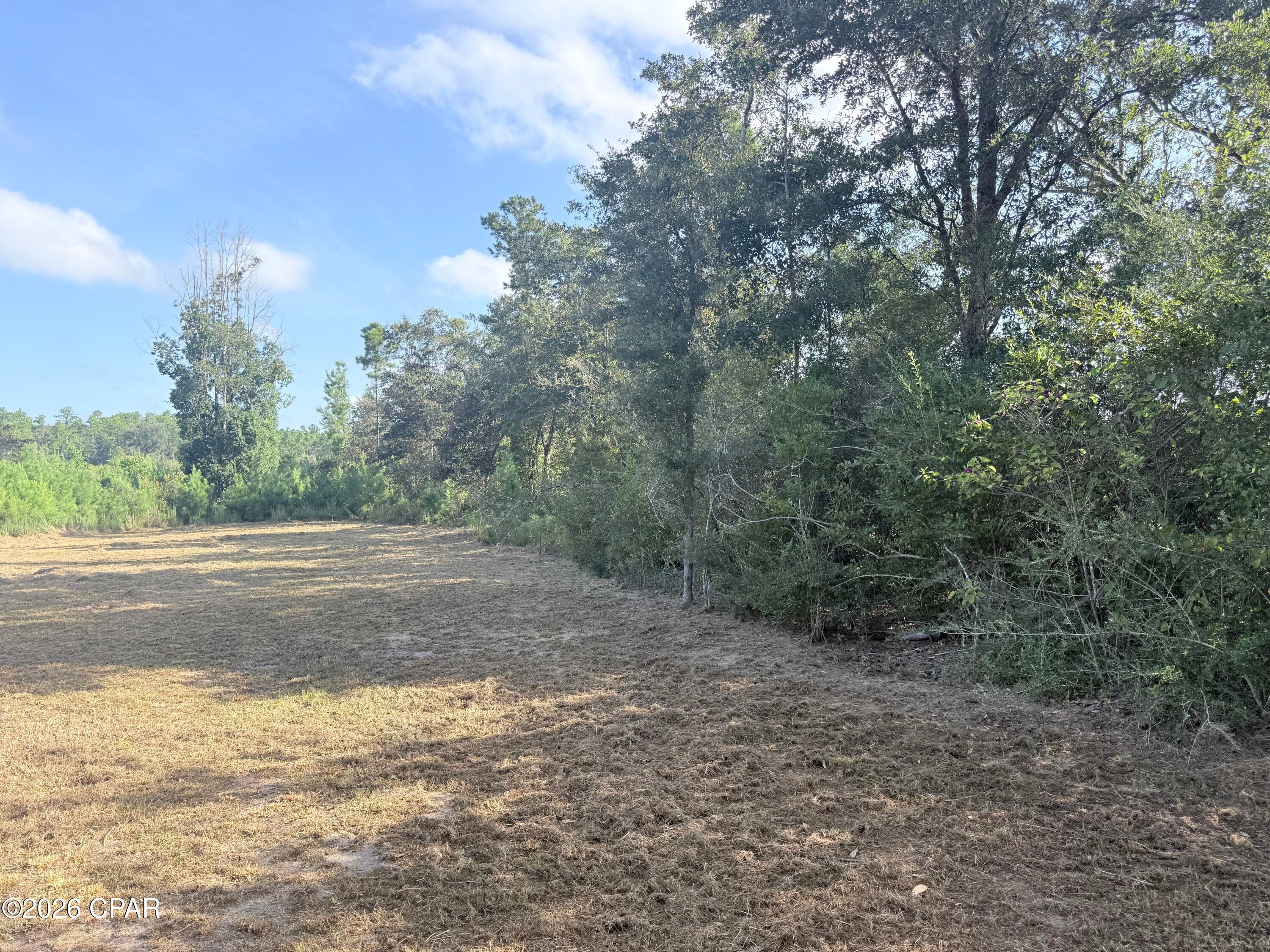 2297 Reedy Creek Road