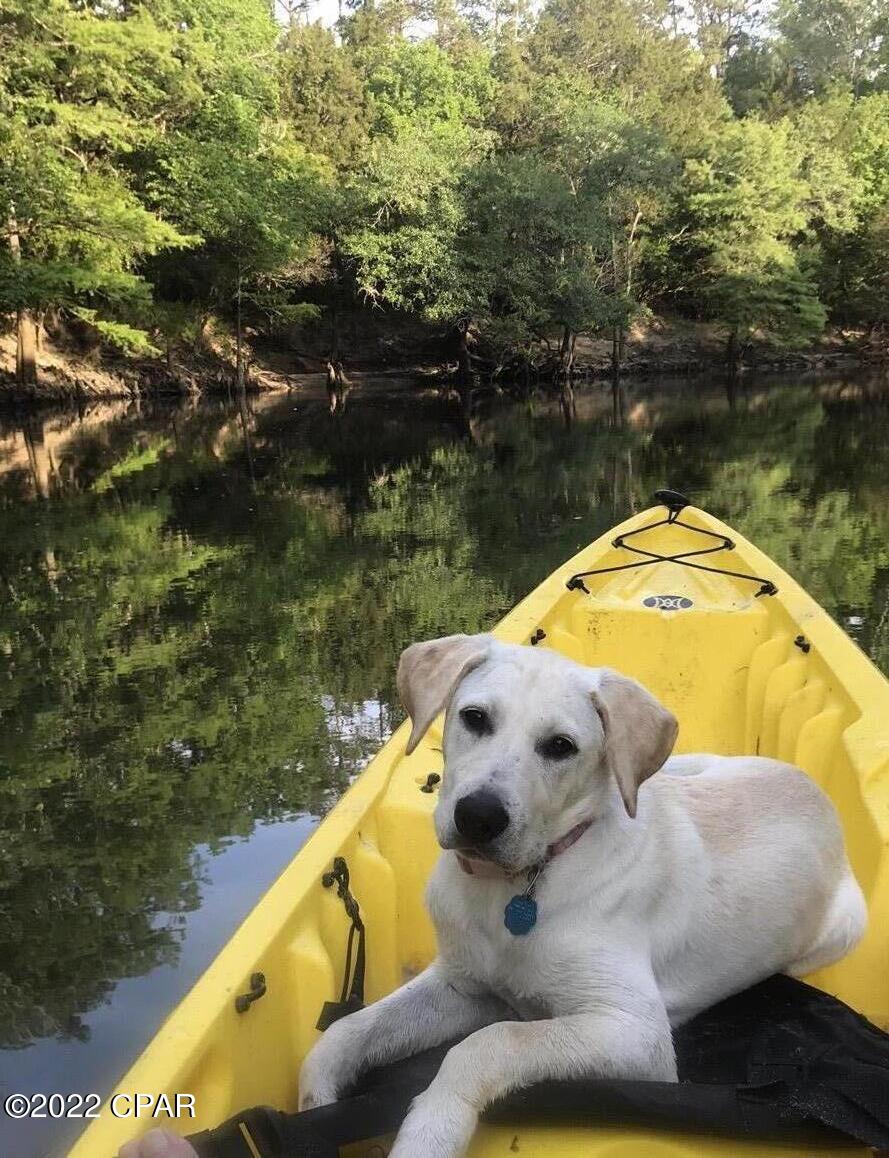 Chipola River - Residential
