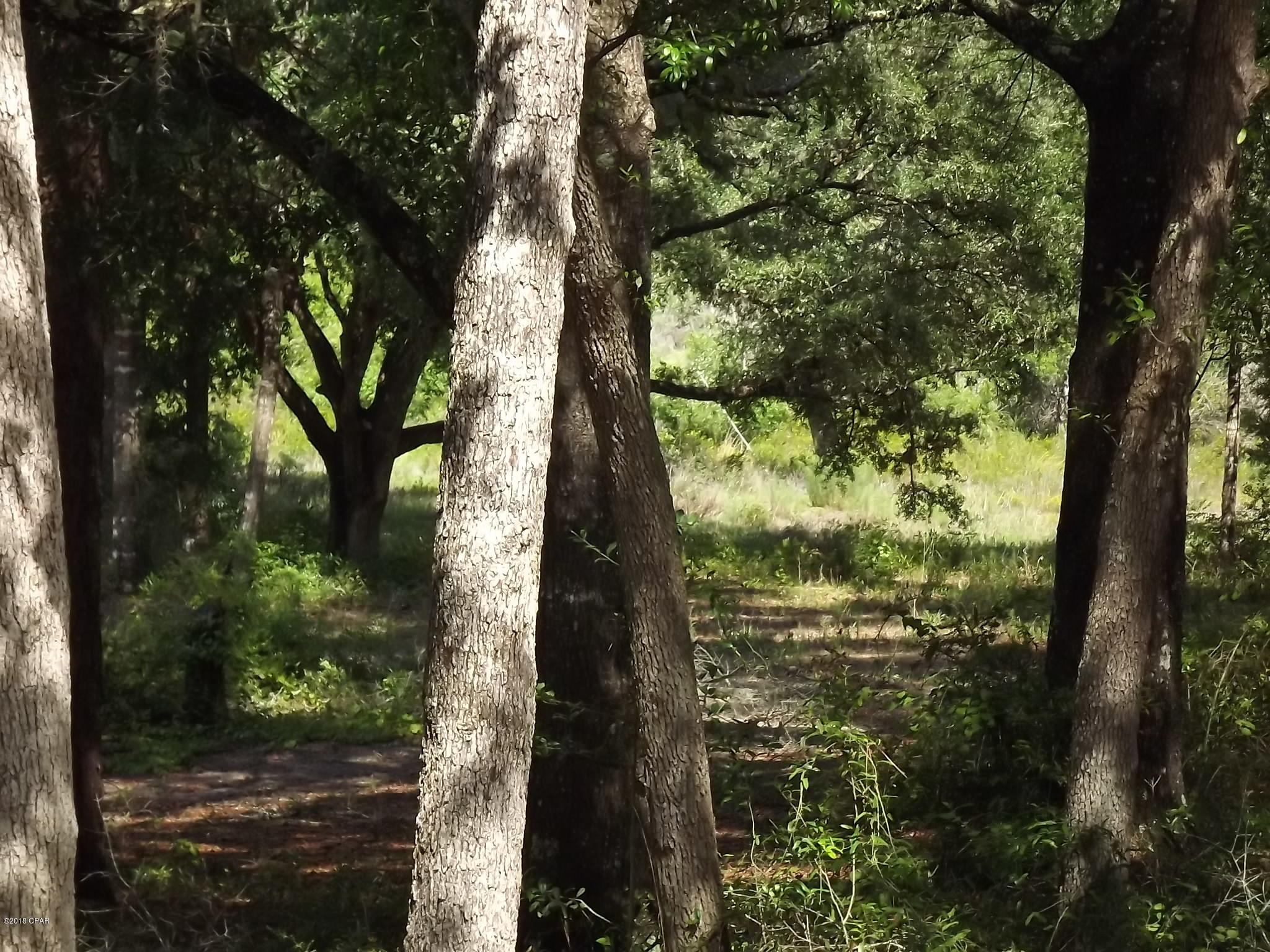 Grassy Pond Ranch - Residential