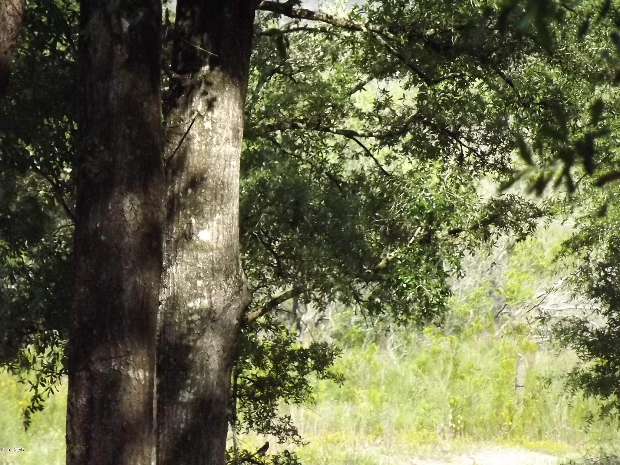 Grassy Pond Ranch - Residential