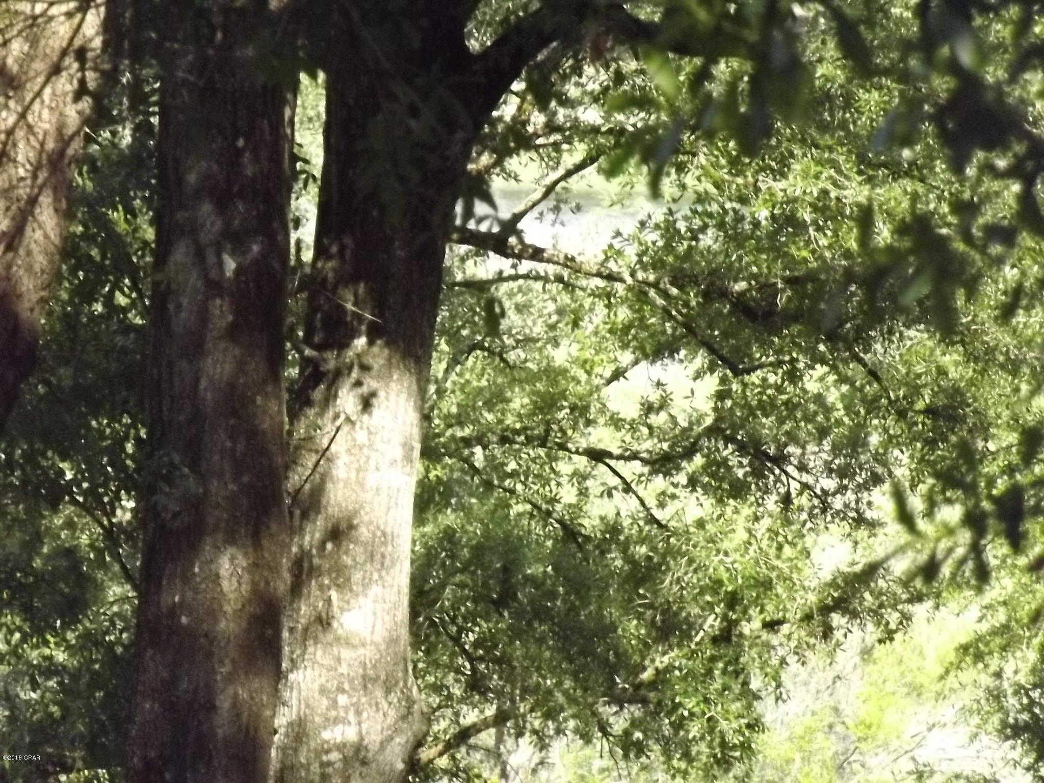 Grassy Pond Ranch - Residential