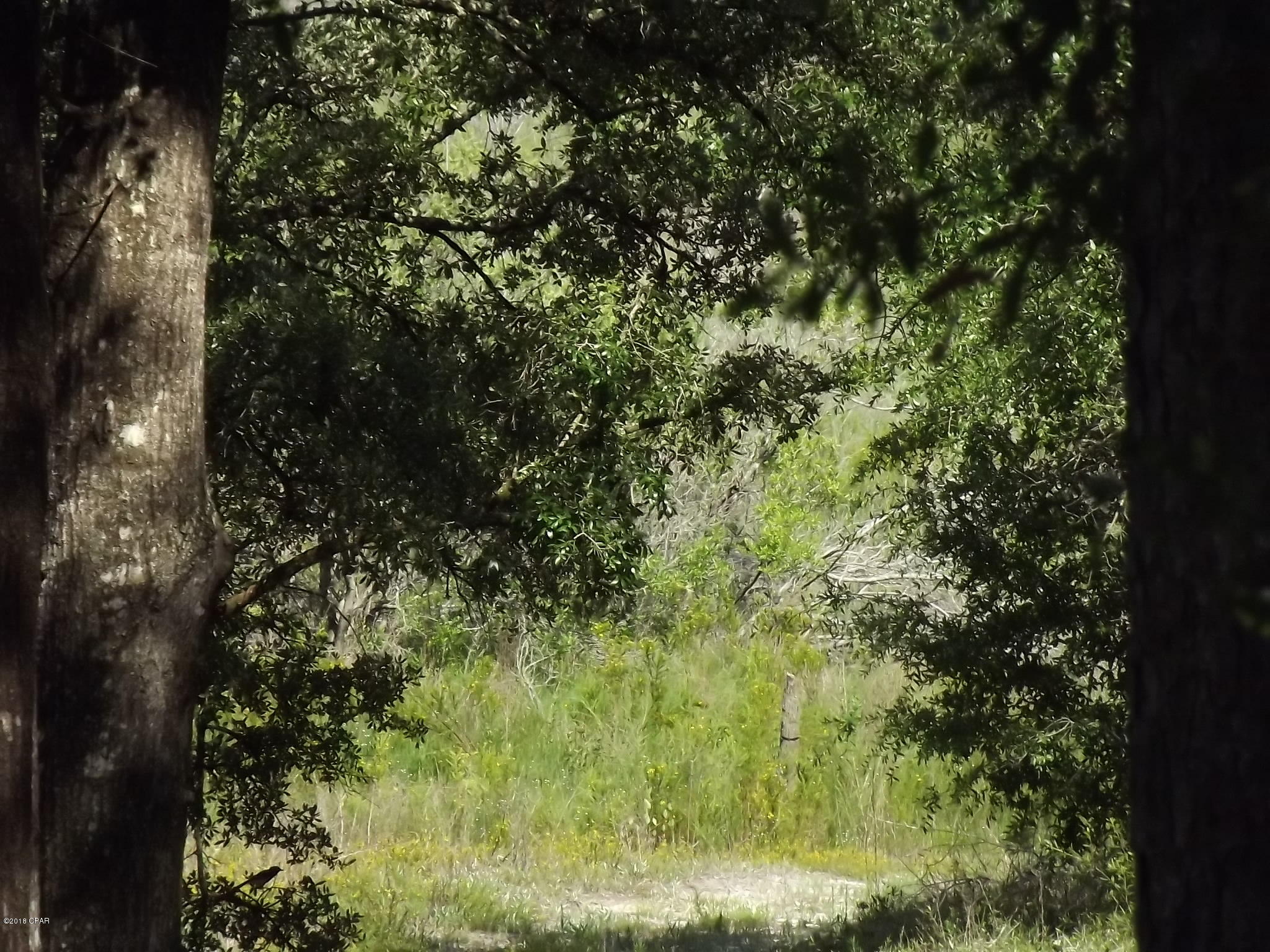 Grassy Pond Ranch - Residential