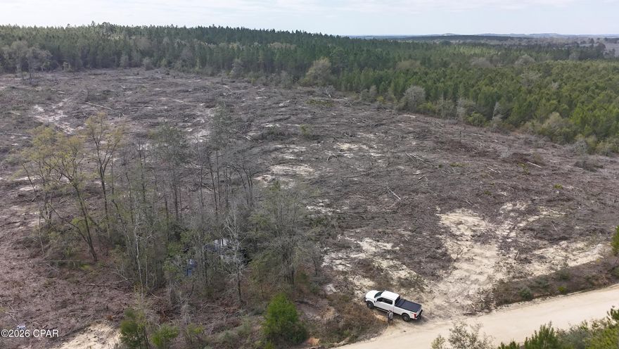 Dream Location for Country Living or Hunters Paradise either way you won't want to miss this opportunity! This Beautiful 37+/- Acres of prime land has so much to offer,Planted Pine- young pines. Bring your build plans, hunting gear, Horses and ATVS LOCATION LOCATION!!!! This Property has Easy Access to Panama City Beaches I-10, Hwy 79, and Hwy 90. DEED RESTRICTIONS. SEE DOCUMENTS