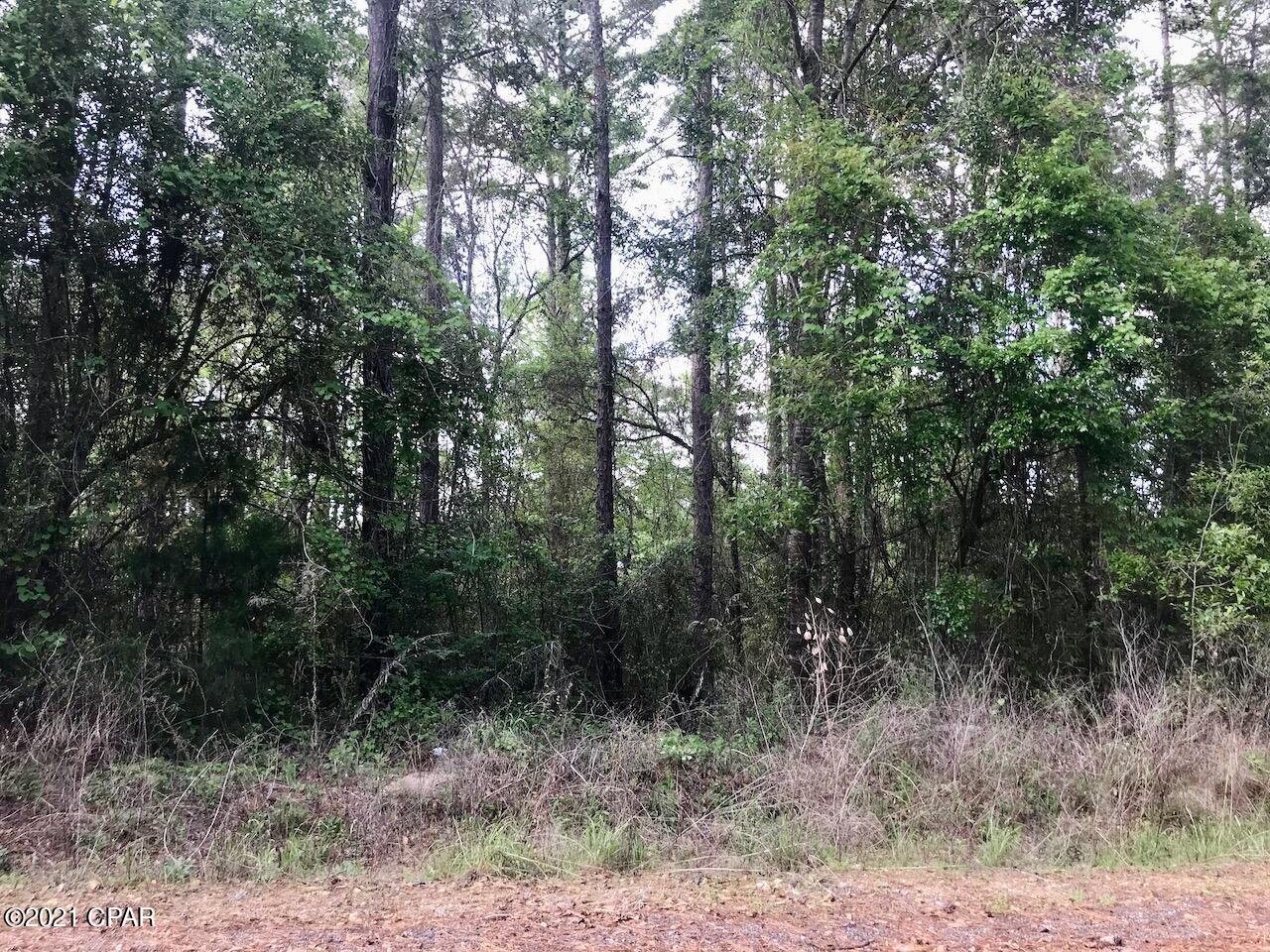 Dogwood Lake Estates - Land