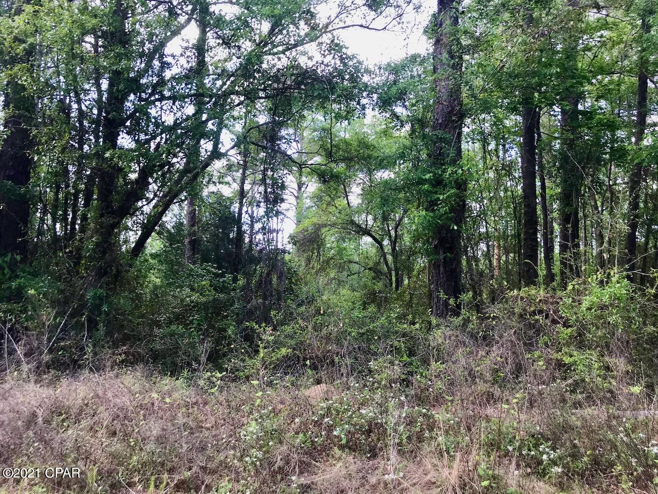 Dogwood Lake Estates - Land