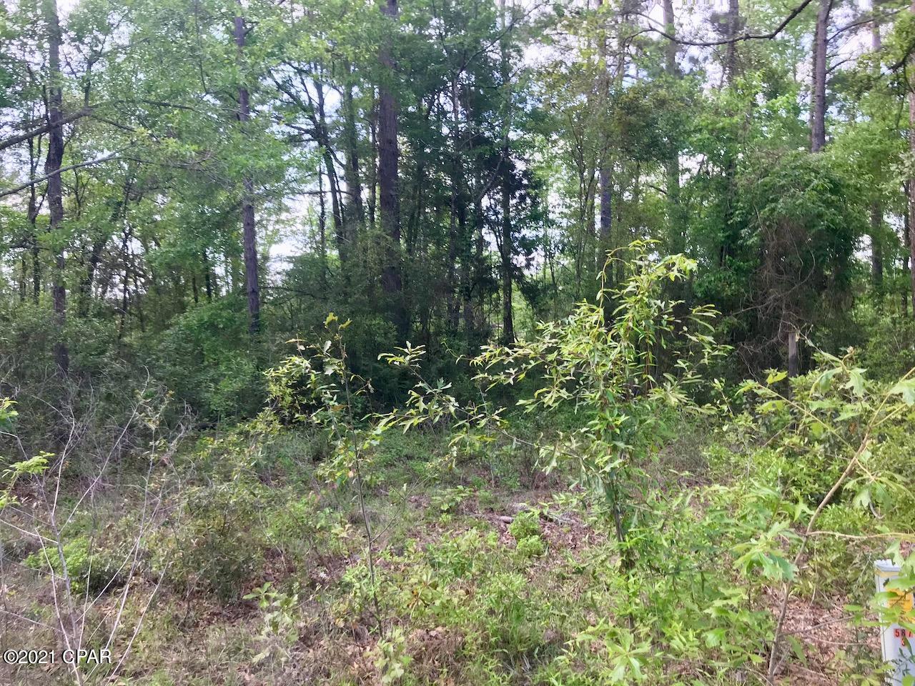 Dogwood Lake Estates - Land