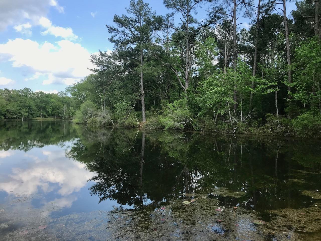 Dogwood Lake Estates - Land