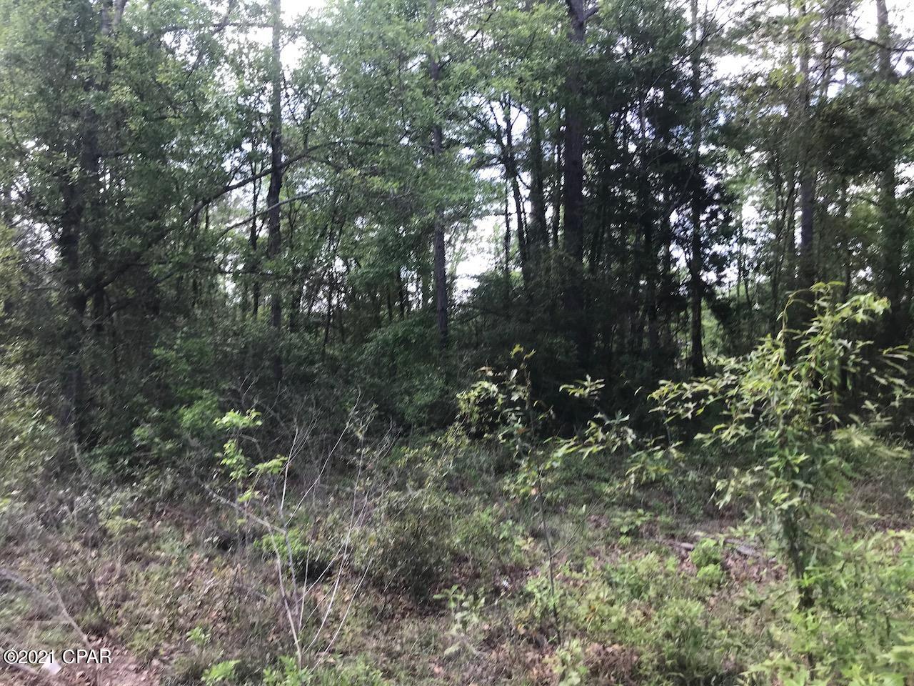 Dogwood Lake Estates - Land