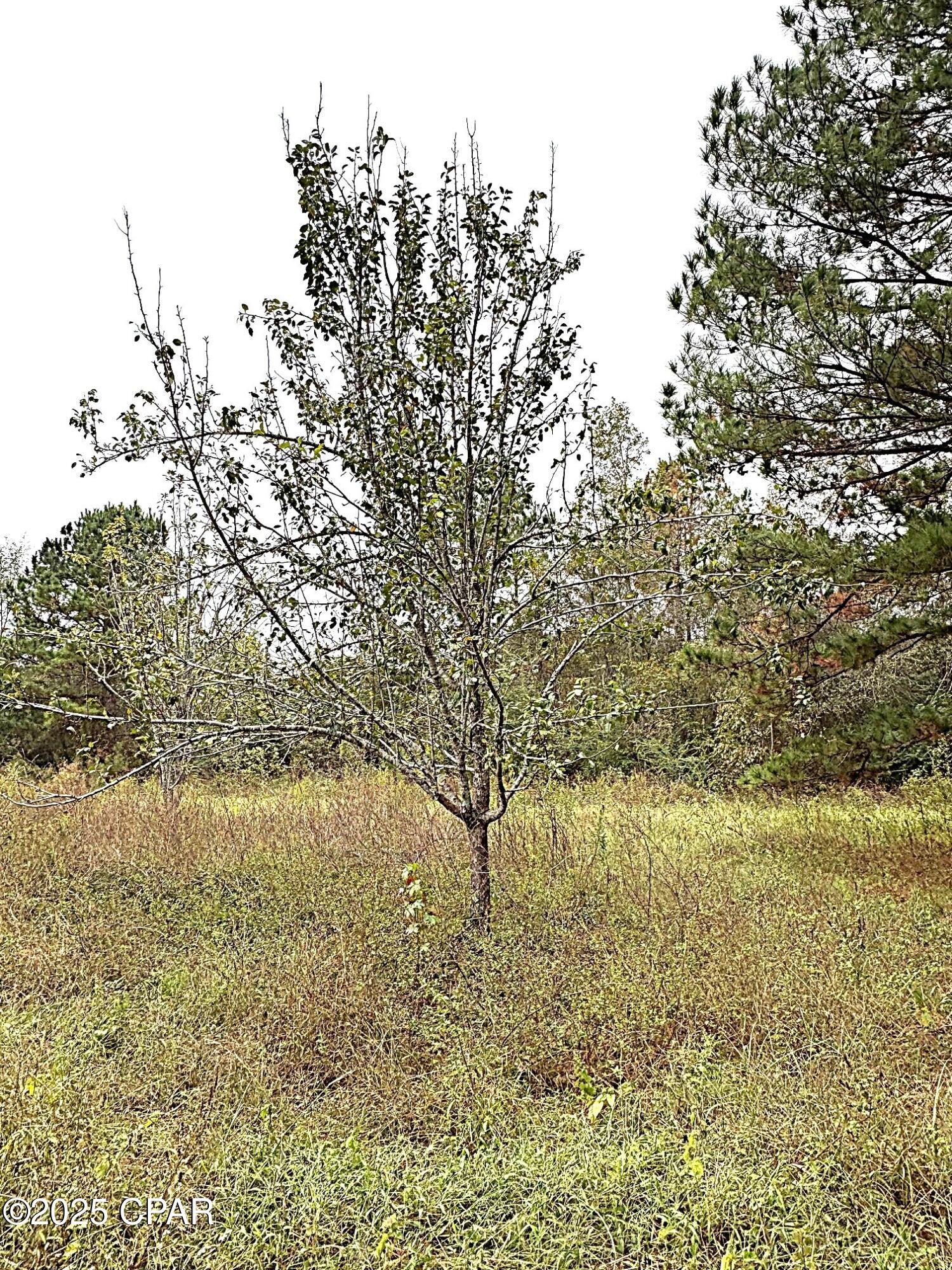 [No Recorded Subdiv] - Land