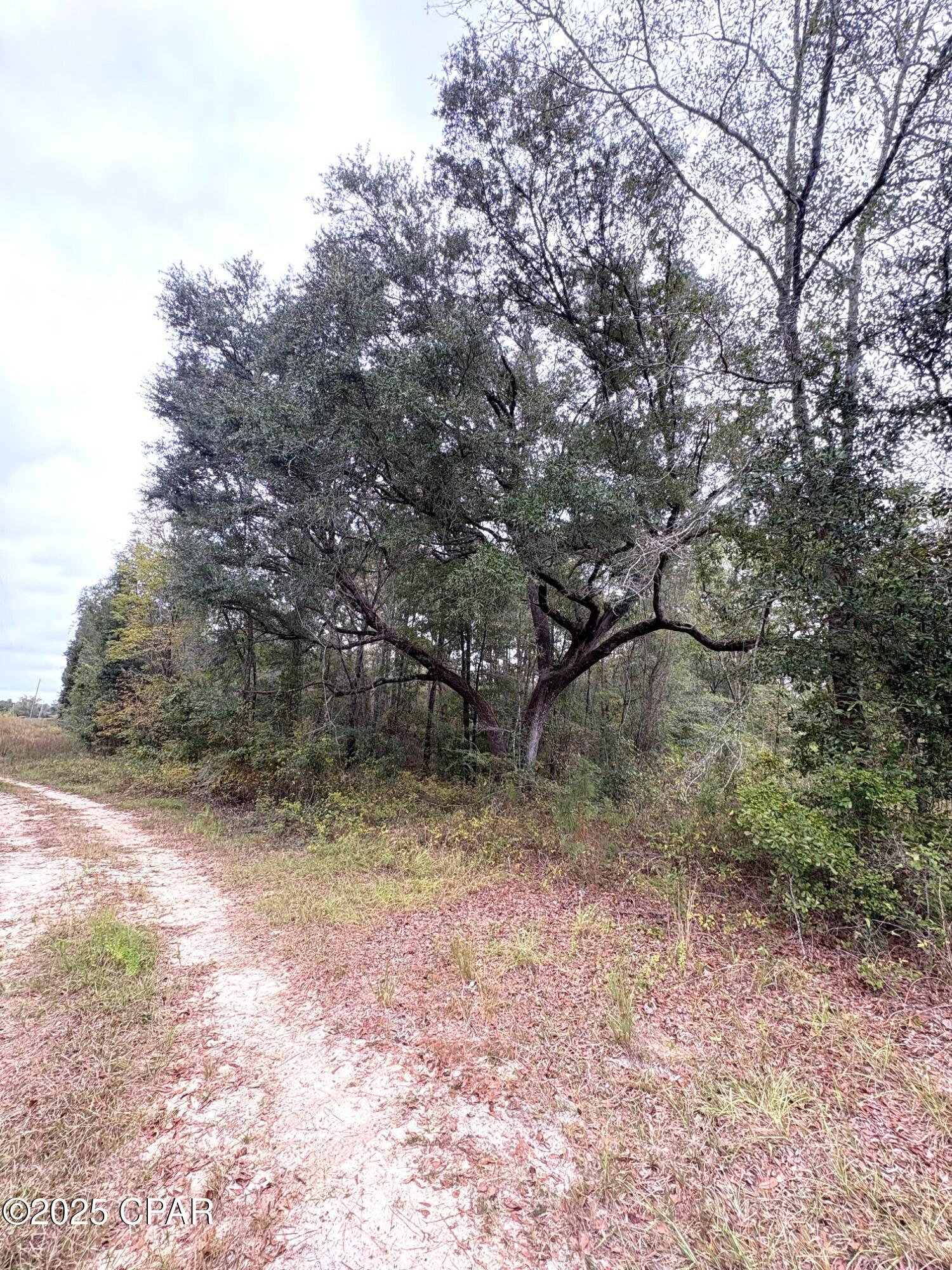 [No Recorded Subdiv] - Land