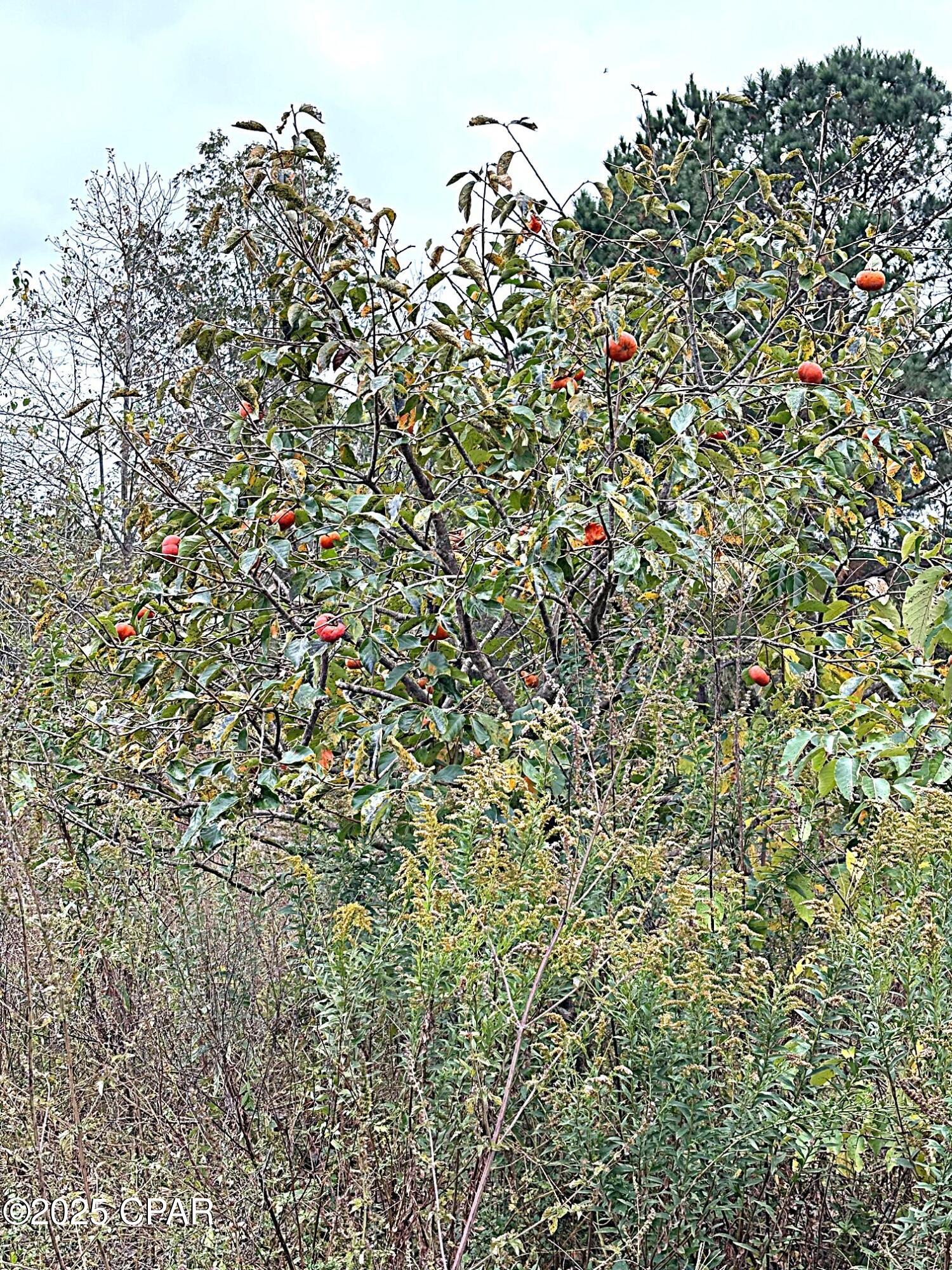 [No Recorded Subdiv] - Land