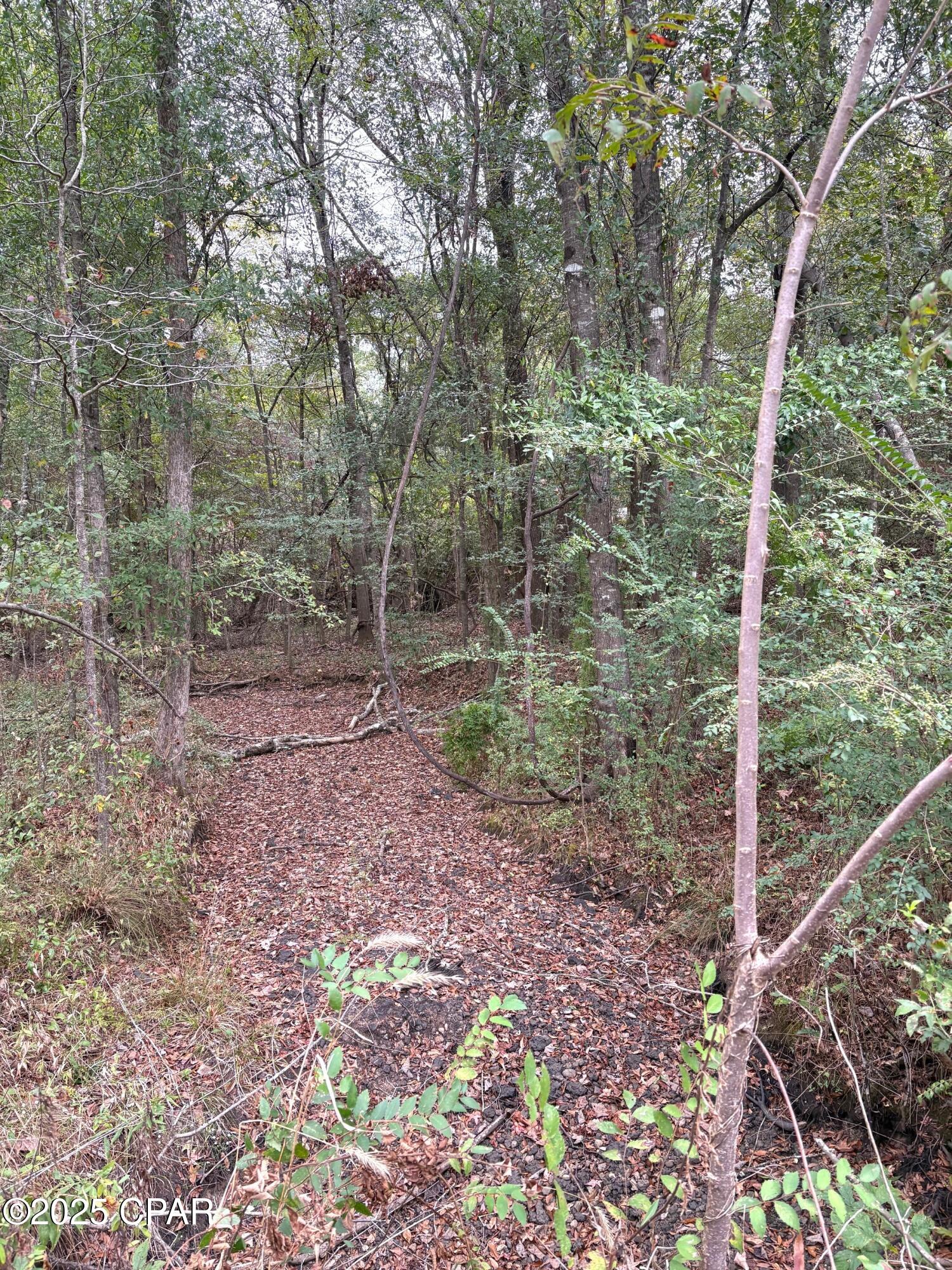 [No Recorded Subdiv] - Land