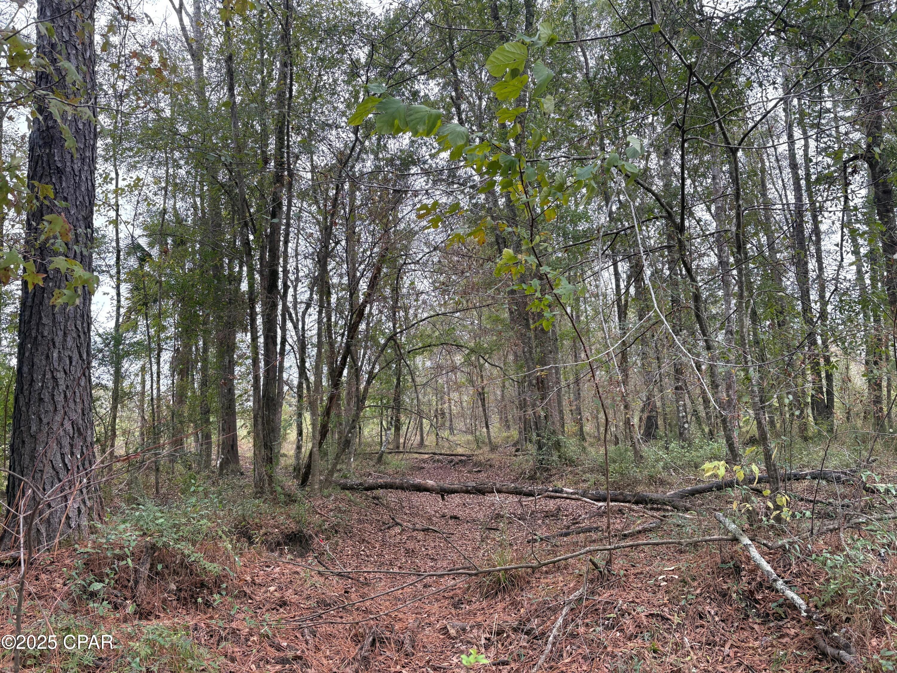 [No Recorded Subdiv] - Land