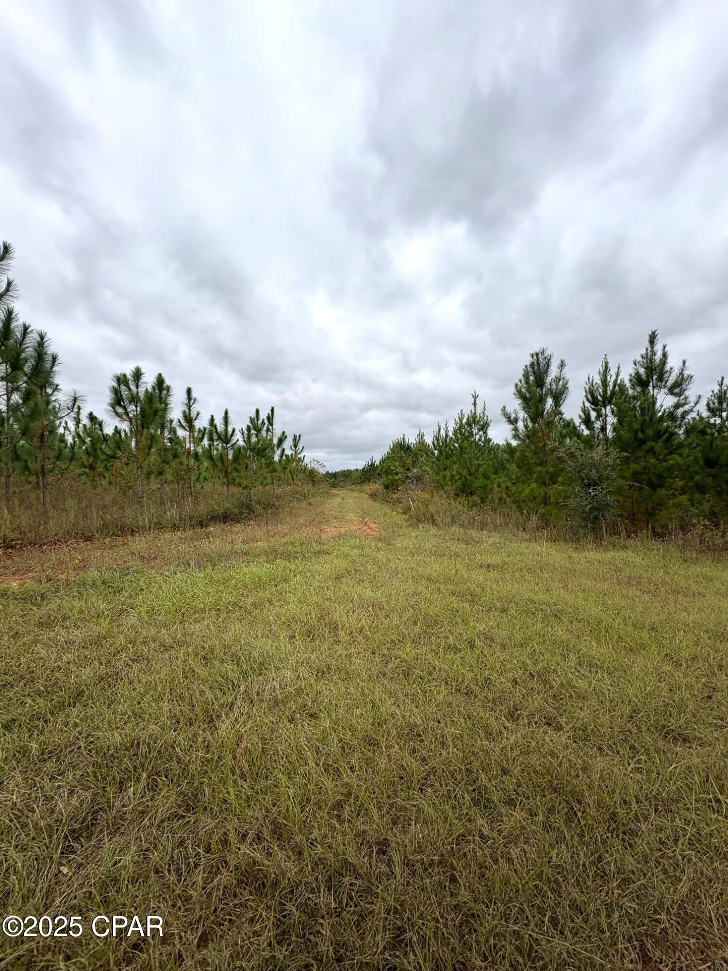 [No Recorded Subdiv] - Land