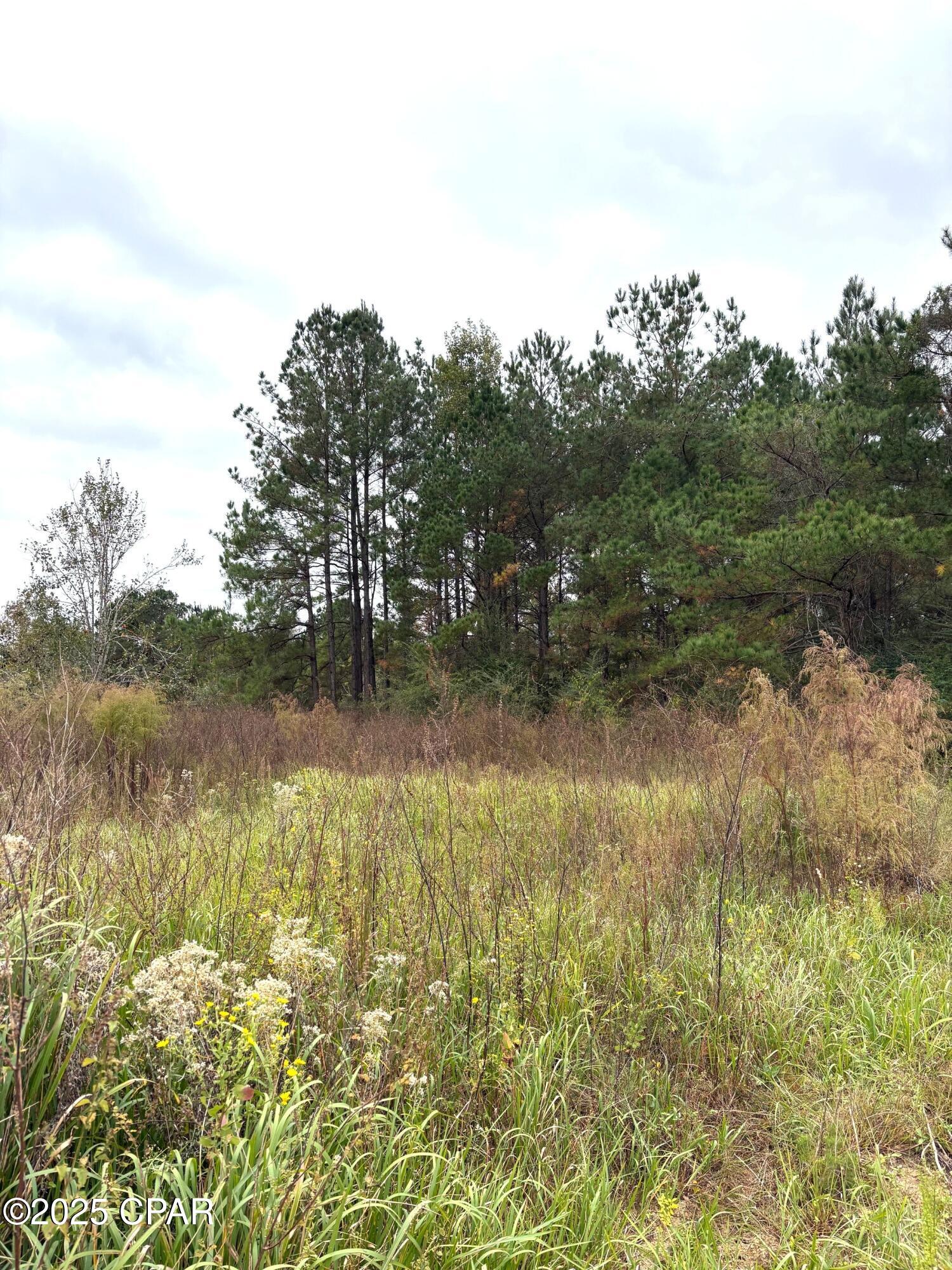 [No Recorded Subdiv] - Land