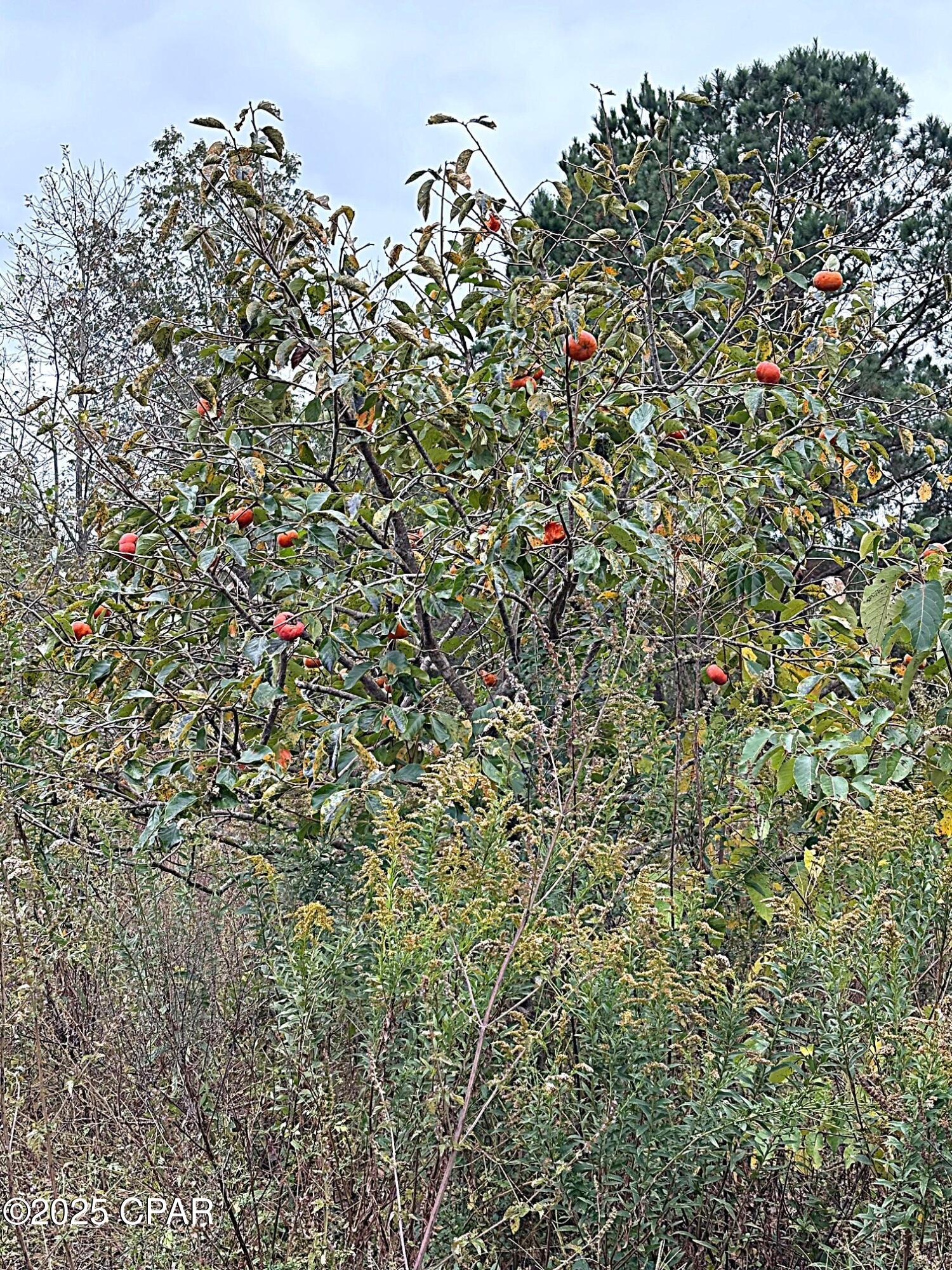 [No Recorded Subdiv] - Land