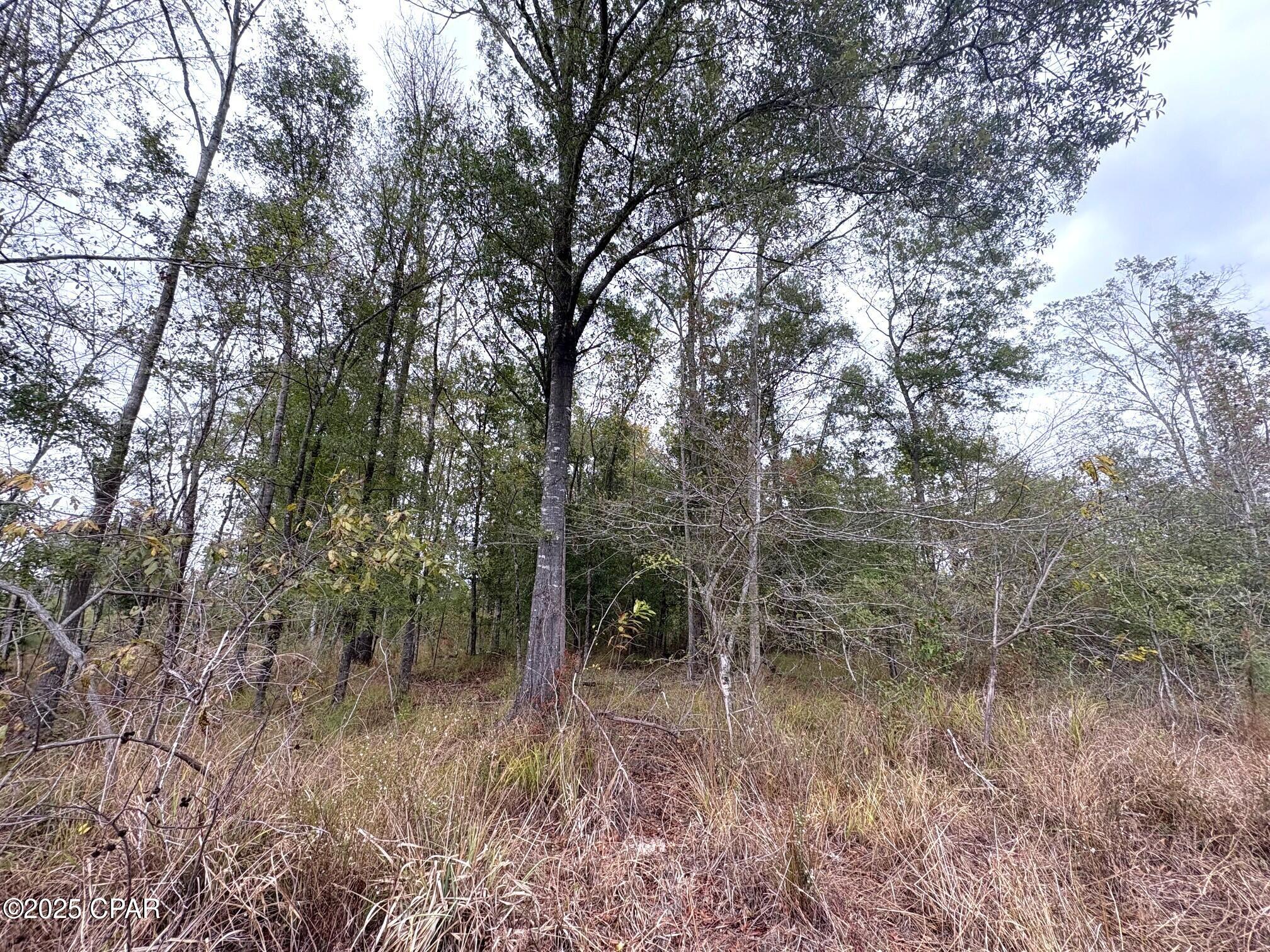 [No Recorded Subdiv] - Land