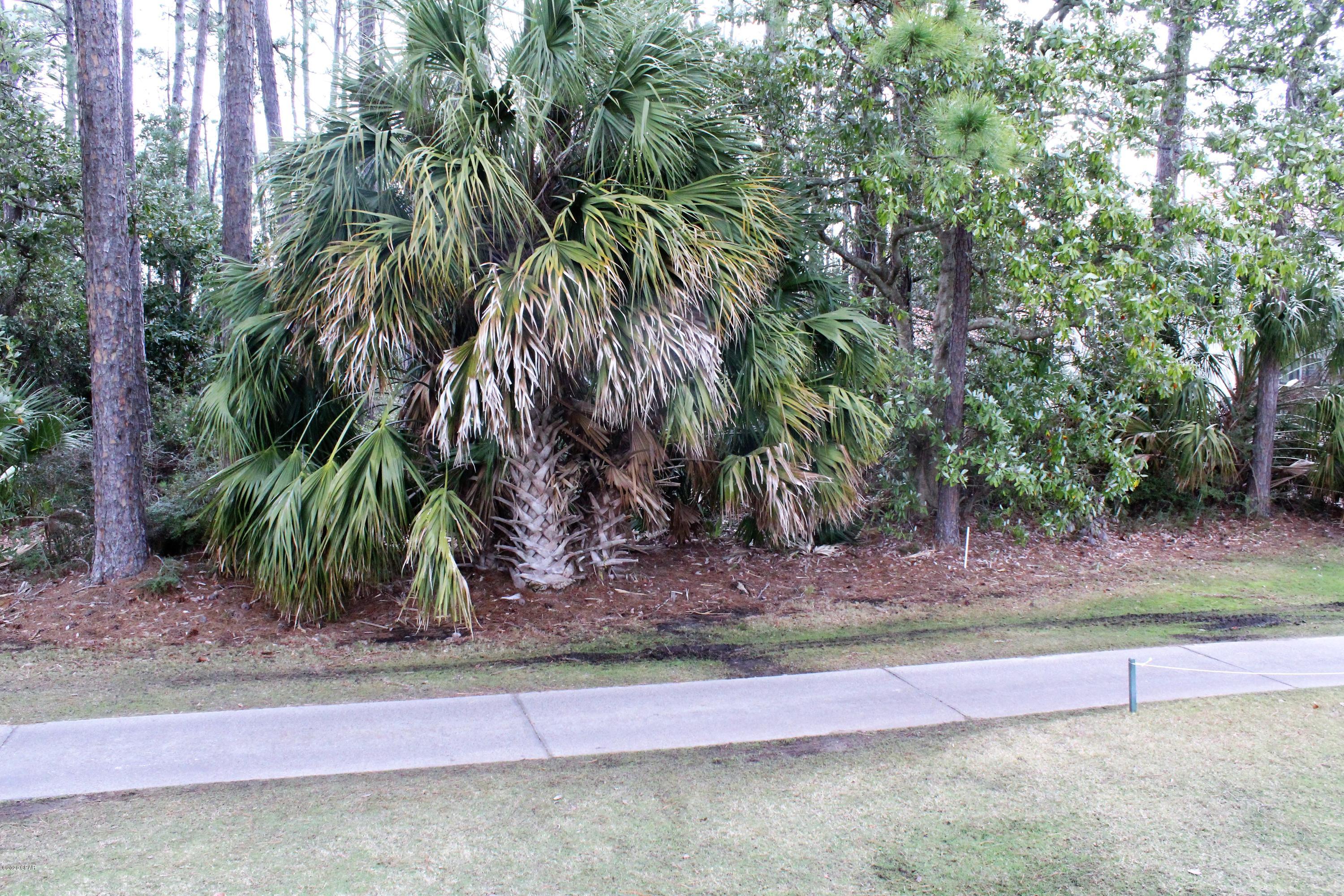 Trieste Phase 2 - Land