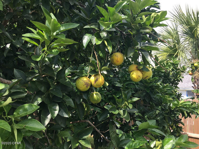 Gulf Pines U-3 - Residential