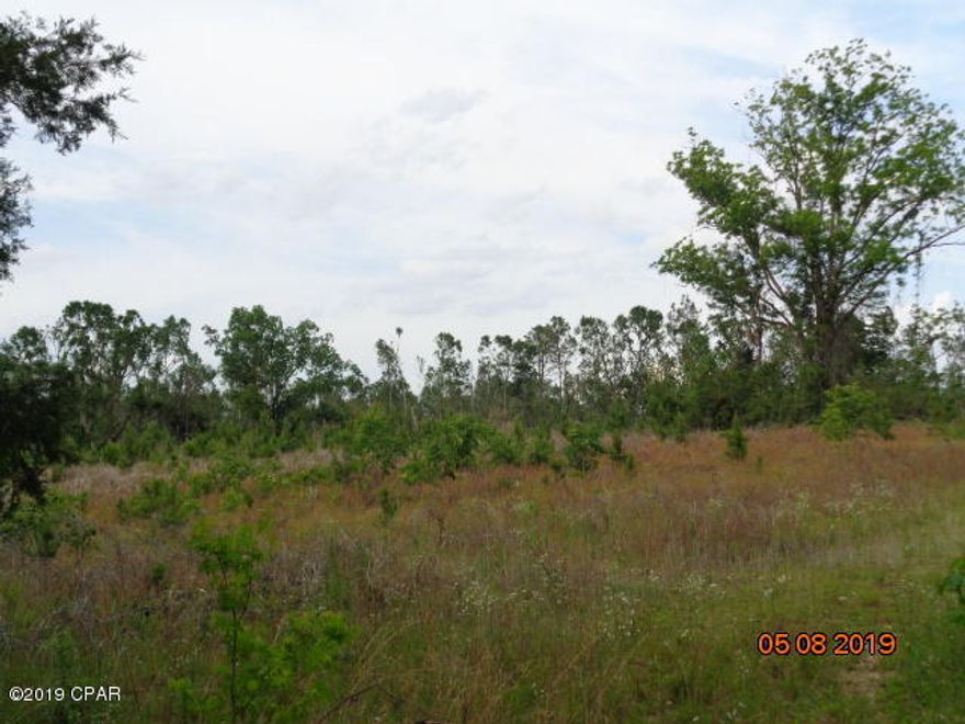 60  ACRES  WITH  ALL  THE  AMENITIES.  THIS PROPERTY HAS  SOME TIMBER LEFT FROM  HURRICANE MICHAEL, AND OPEN  FIELDS,  AND APPROX. 2  ACRE  DEEP POND.  THE HUNTING HAS BEEN GREAT FOR TURKEY,  DEER, AND QUAIL.  THERE IS A LARGE PIT THAT WAS USED  FOR A SHOOTING RANGE, WHICH HAS A SMALL SHED.  THERE IS AMPLE ROOM FOR CAMPING AND ENJOYING THE GREAT OUTDOORS.   THERE IS A ROAD THAT HAS BEEN USED FOR MANY YEARS, BUT LAND DOES NOT HAVE DEEDED ACCESS.   APPEARS  TO HAVE APPROX.  300 YDS+  TO PROPERTY LINE FROM HWY  73.  PROPERTY ONLY MINUTES FROM MARIANNA  AND  1  HR. FROM PANAMA CITY.   --  BRING  ALL  OFFERS  -  VERY  MOTIVATED  SELLERS.  INFO  FROM  PROPERTY  APPRAISER,  PLEASE VERIFY  IF  IMPORTANT.  CALL FOR MORE DETAILS