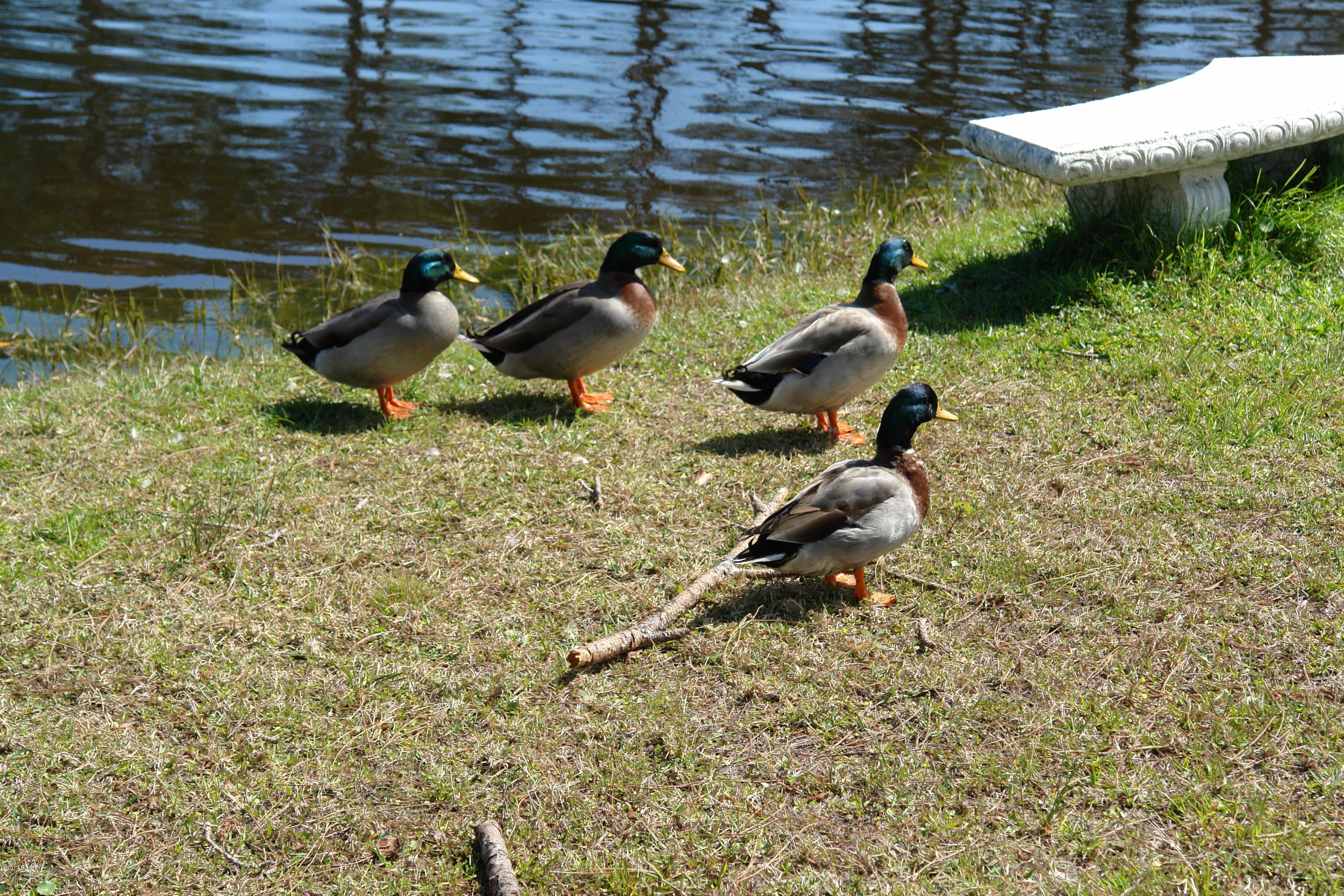 Harbour Towne - Land