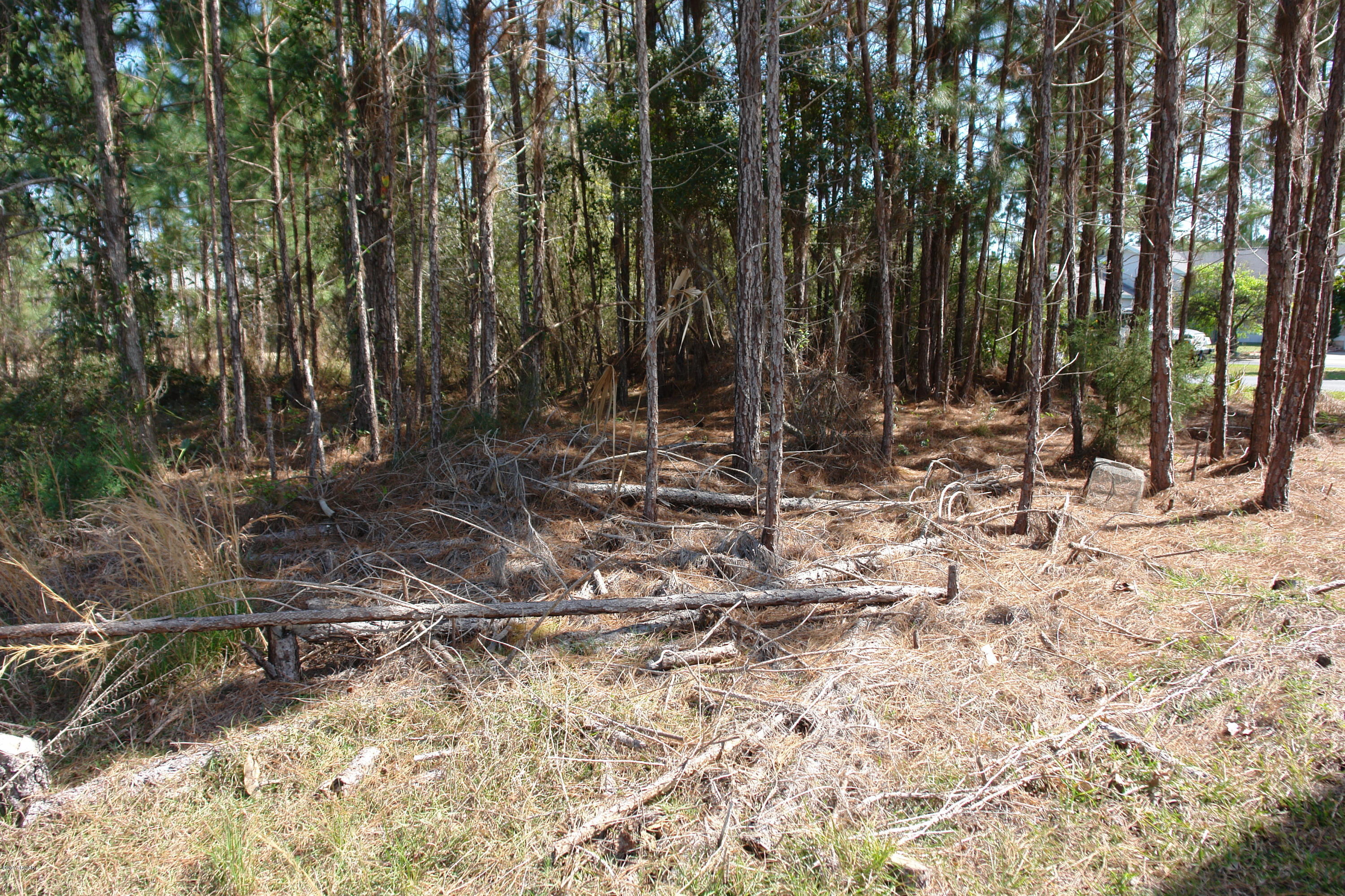 Harbour Towne - Land