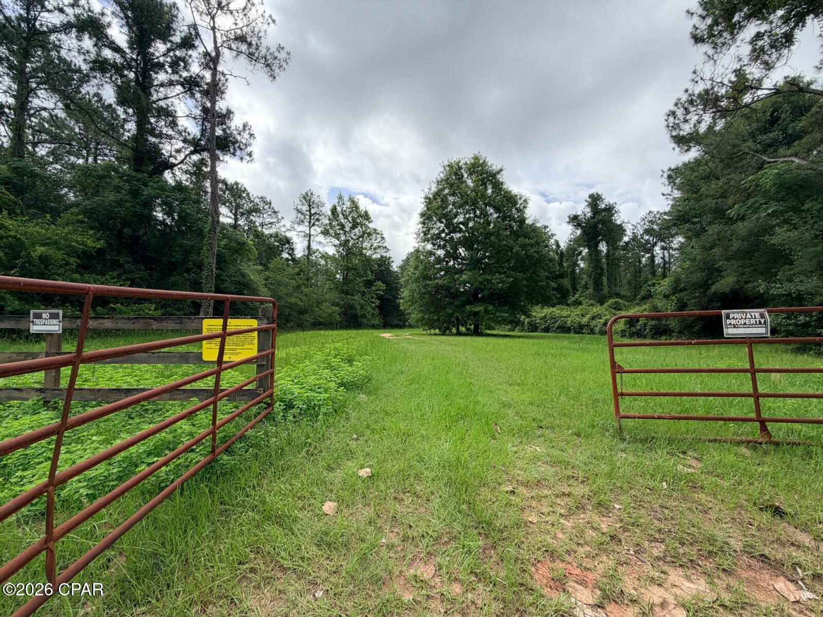 Reedy Creek - Land