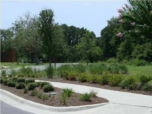Cove Pointe - Land