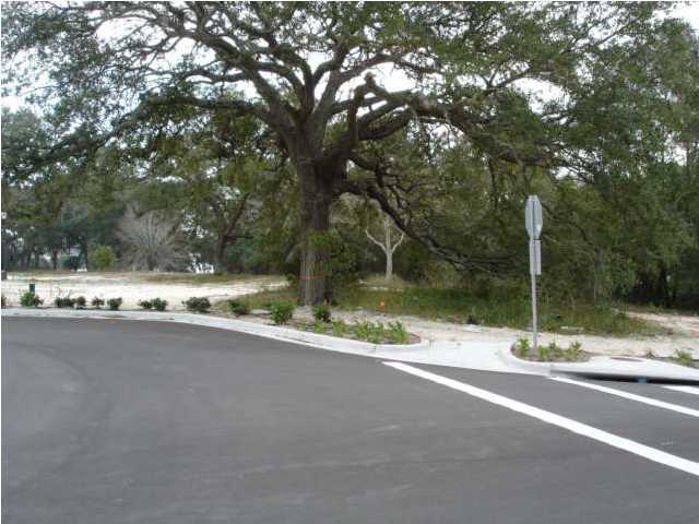 Cove Pointe - Land