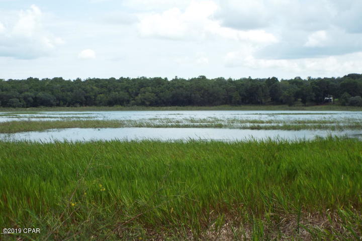 Sunny Hills - Residential