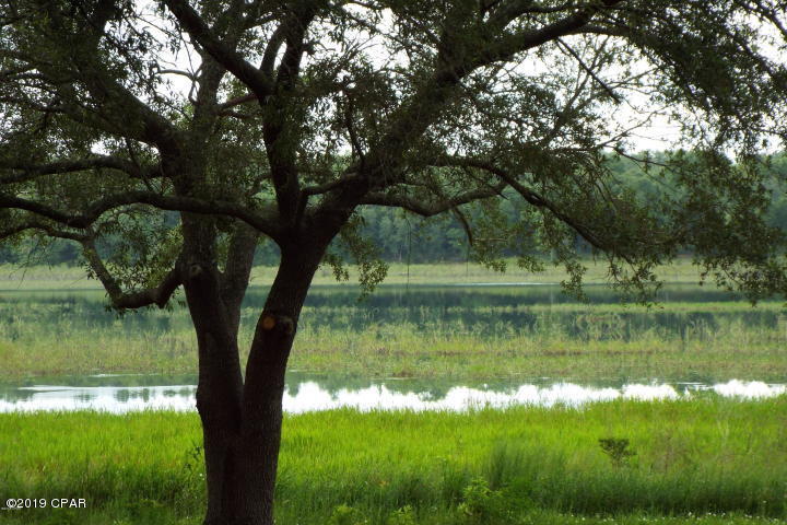 Sunny Hills - Residential