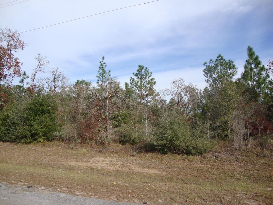 Corner building lot in nice development in Northwest Florida. Hidden in the heart of the last rural frontier is Sunny Hills. A vacation paradise for residents as well as vistors of the area. Nearby crystal clear lakes provide a great location for fishing, swimming, boating and water-skiing. Enjoy year-round golfing at the 27 hole championship course with a clubhouse, pro-shop and casual restaurant. Located about 40 miles north of the Gulf of Mexico and the worlds most beautiful beaches, 30 miles north of Panama City and 17 miles soutn of Interstate Hwy 10. Buy now Build later. Great investment for now or the future. Can't go wrong with this price.