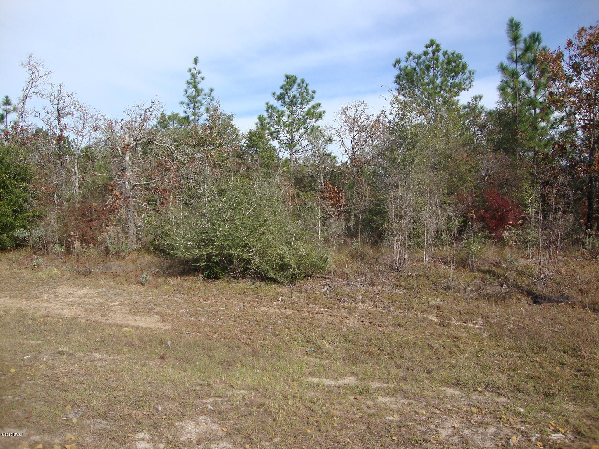 Sunny Hills Unit 6 - Land