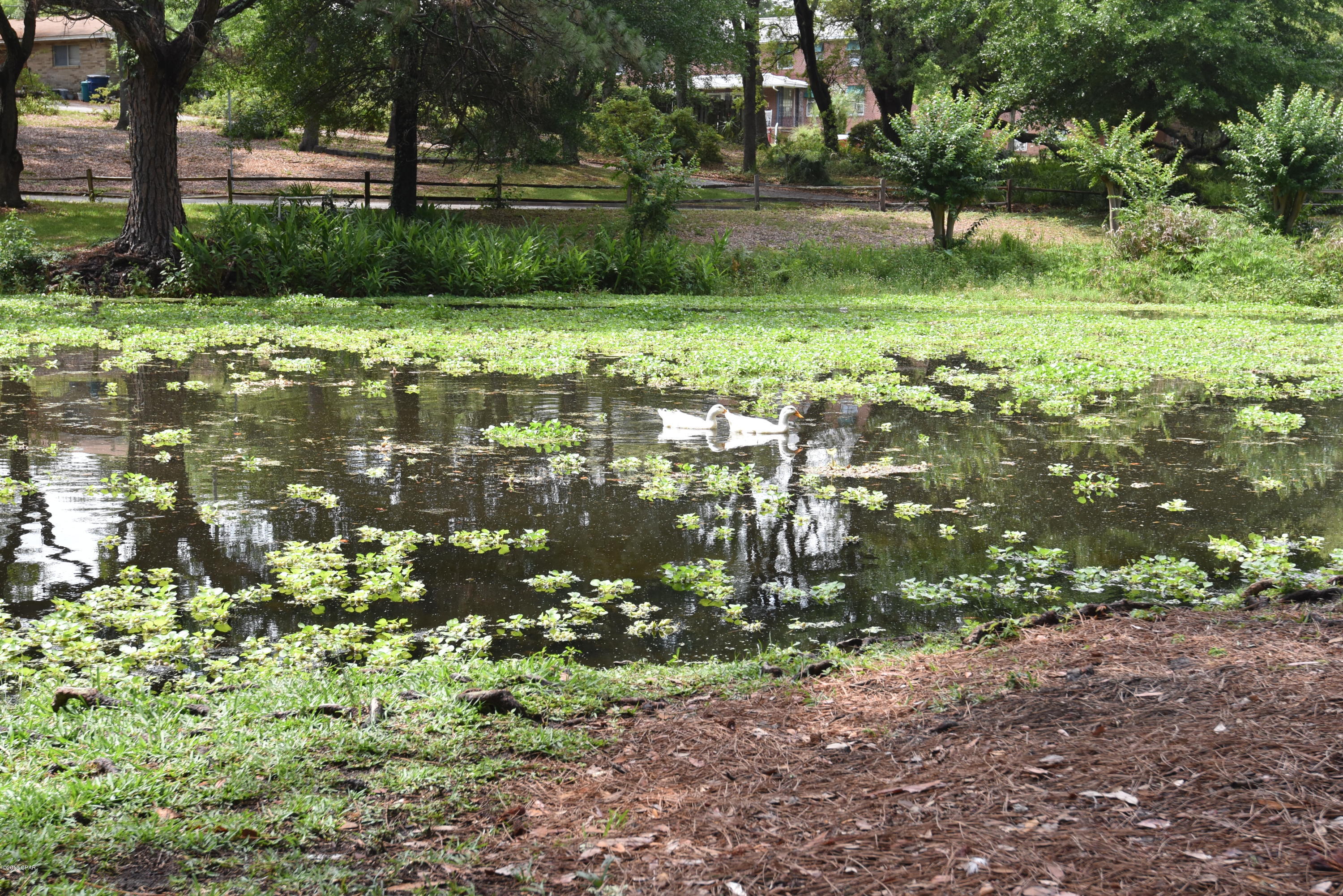 Bayside - Residential