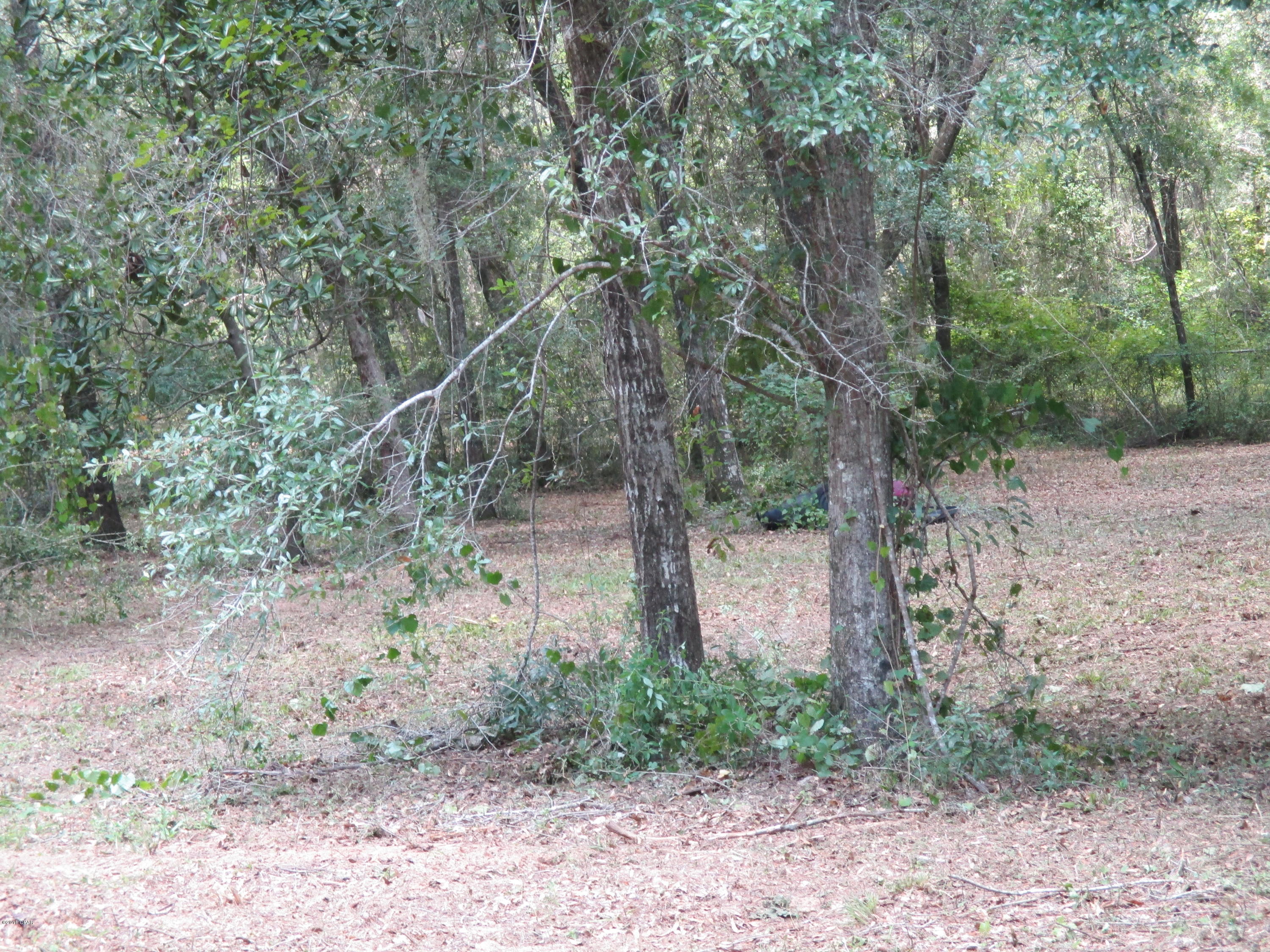 Lakeview Acres - Land