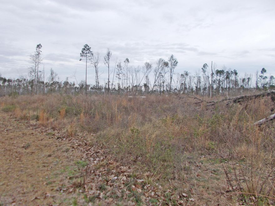 Active/Contingent taking back up offers. Nice level,high and dry 10 ac plus on a private lane just east of Marianna, this is a beautiful home site, the pines have been clear cut waiting for your dream  home to be built, you can have a modular home on it also. There are deed restrictions, they are attached to the listing.Drive by walk on this property today.