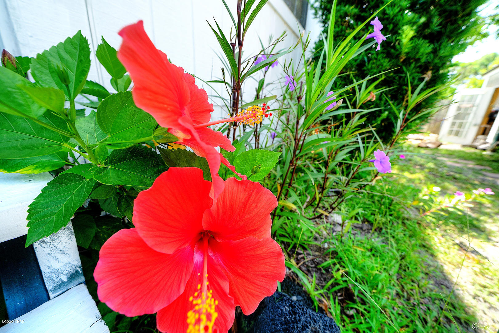 North Lagoon Oaks 7th Add - Residential