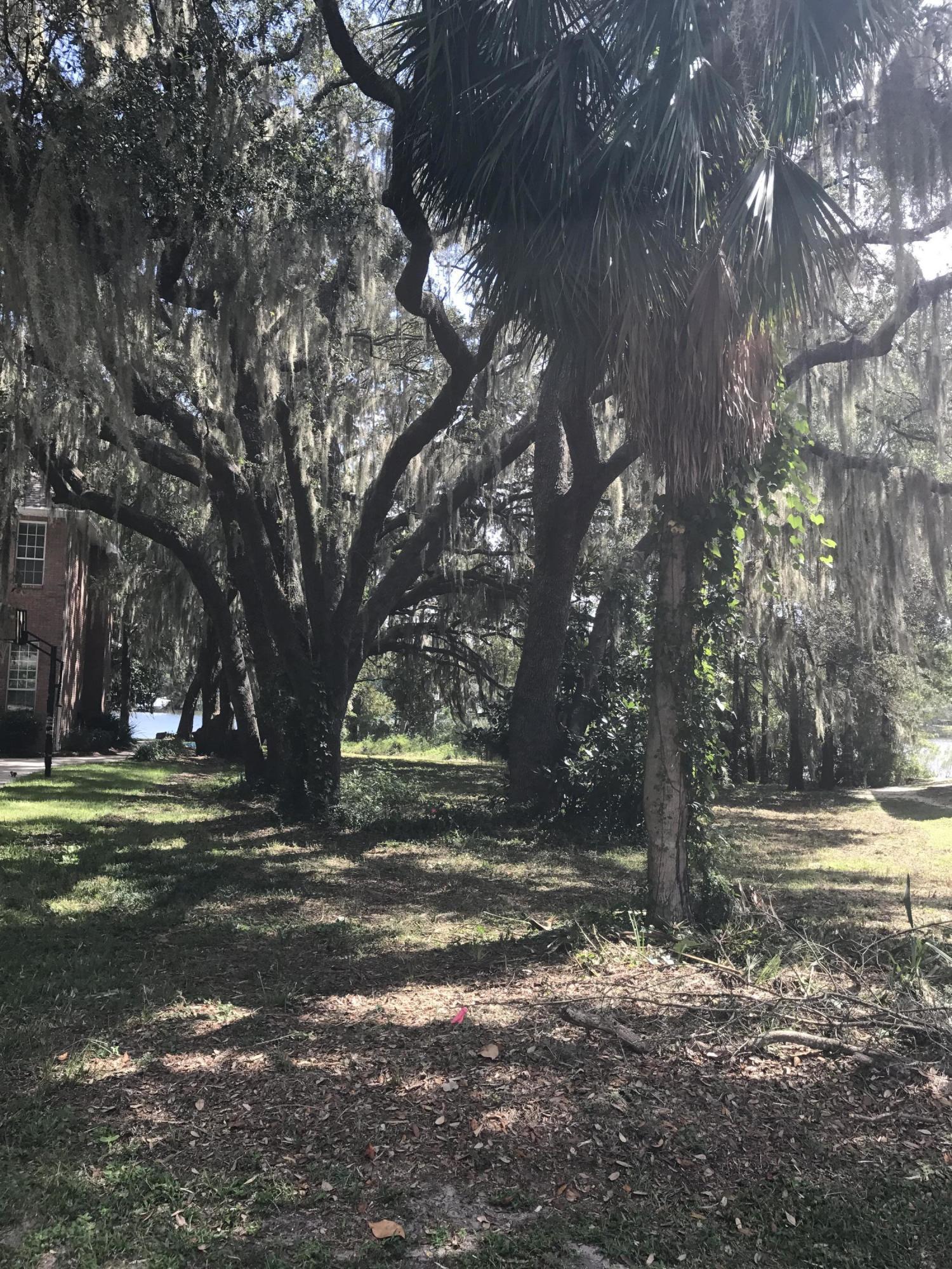 Osceola Point - Land