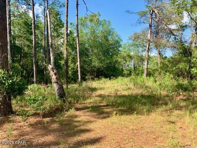 Leisure Lakes - Residential