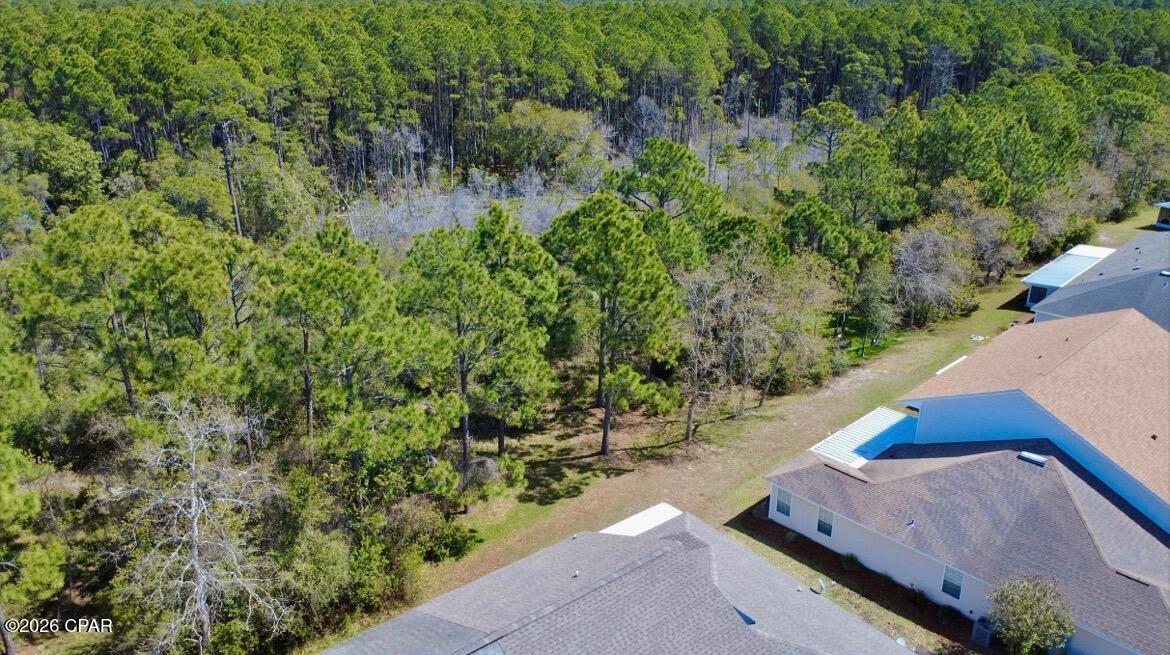 Palmetto Trace Phase 2 - Residential