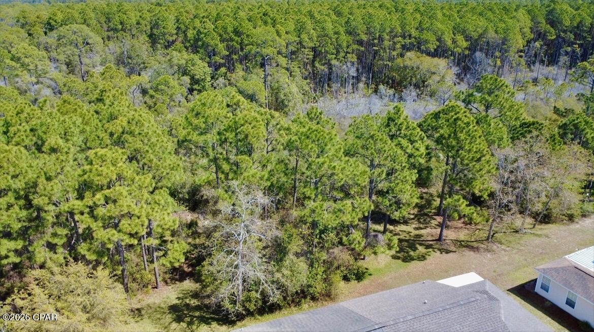 Palmetto Trace Phase 2 - Residential